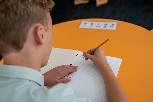 A primary school student writes in his book