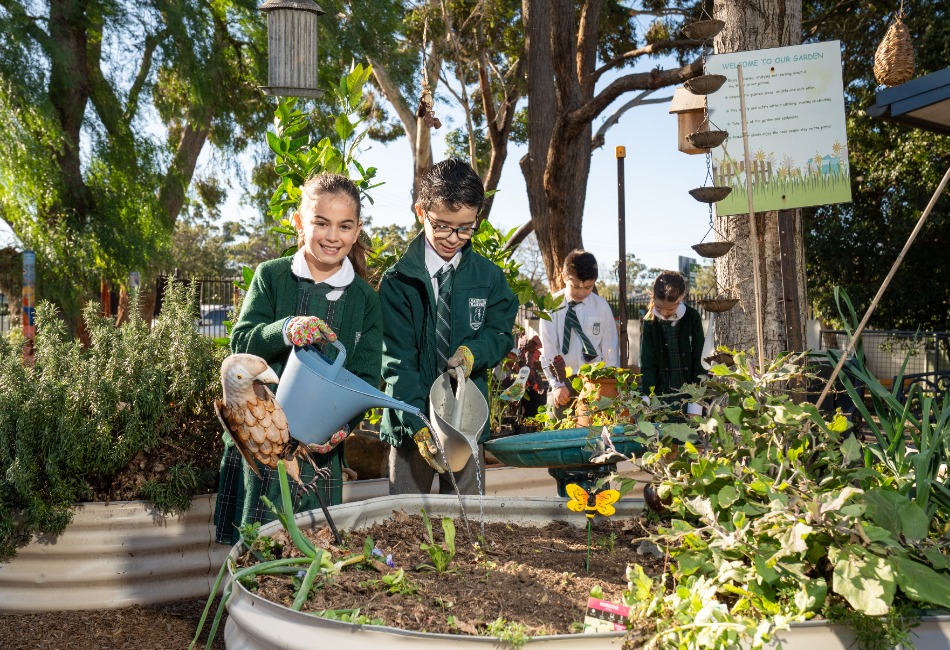 Sydney Catholic Schools