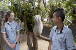 Students from St Joseph's Catholic Primary School Como with Baxter the Koala at Taronga Zoo