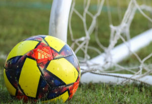 Soccer ball beside net