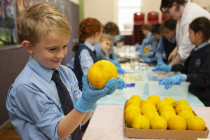 St Charles students test oranges as part of a STEM and sustainability project.