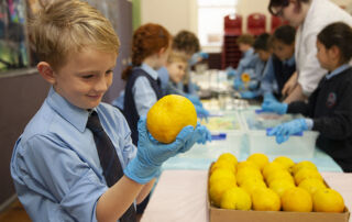 St Charles students test oranges as part of a STEM and sustainability project.