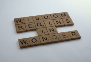 Wisdom Begins With Wonder