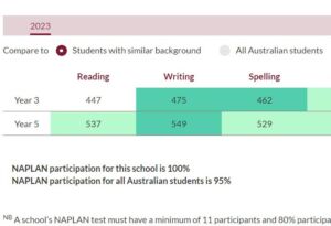 NAPLAN 2023 writing and spelling results graphic - Holy Spirit Catholic Primary School North Ryde