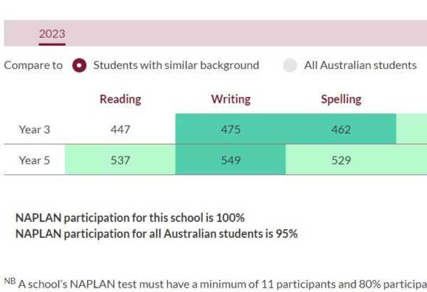 NAPLAN: Holy Spirit North Ryde’s outstanding results | Sydney Catholic ...