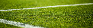 Sport field grass