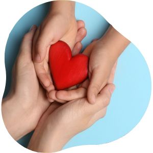 Two hands holding a heart